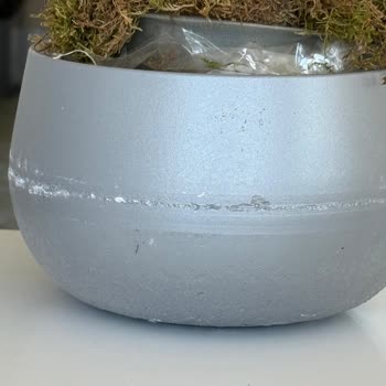 Zamanında Teslim Edilmeyen Ve Hasarlı Orkide İçin İade Talebime Yanıt Alamıyorum