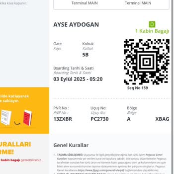 Bagaj Tesliminde Prosedürlere Uyulmadı, Engelli Yolcuya Zorluk Yaşatıldı