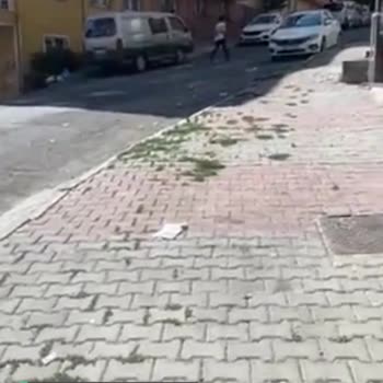 Türk Telekom Eski Direk Tehlike Saçıyor