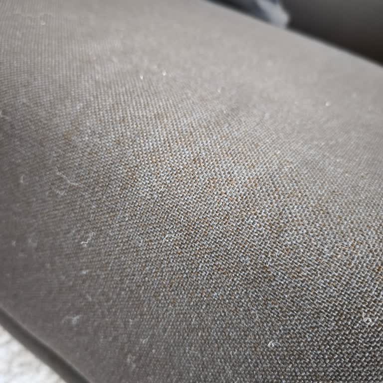 Koltuk Takımında Kumaş Ve Sünger Sorunu, Servis İlgisizliği