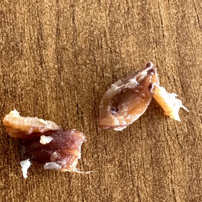 Kahvaltıda Gözlemeden Çıkan Yabancı Cisim Nedeniyle Dişim Kırıldı, Şube Ve Merkezden Çözüm Alamadım