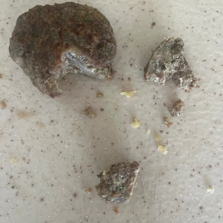 Carrefour SA’dan Aldığım Kıymadan Çıkan Kıkırdaklar Nedeniyle Köfteler Çöpe Gitti