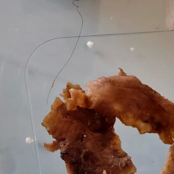 Hijyen Sorunu Ve Yetersiz Telafi: Siparişimde Yaşadığım Mağduriyet