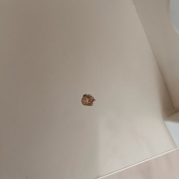 Satın Aldığım Ürünlerde Sorun Var, Çözüm Bekliyorum!