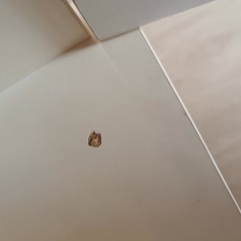 Satın Aldığım Ürünlerde Sorun Var, Çözüm Bekliyorum!