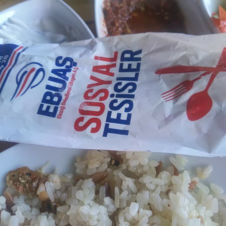 Aynı Restoranda Tekrar Hijyen Sorunu Yaşadım, Pilavda Sinek Ve Kıl Çıktı