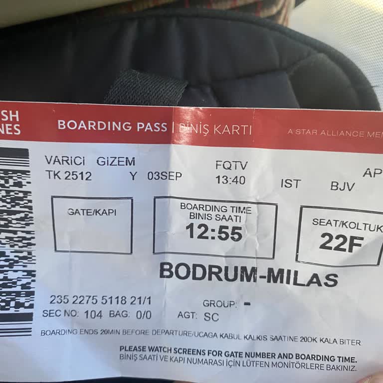 THY Uçuşta Yetersiz Yönlendirme ve Personel İlgisizliği Mağduriyeti