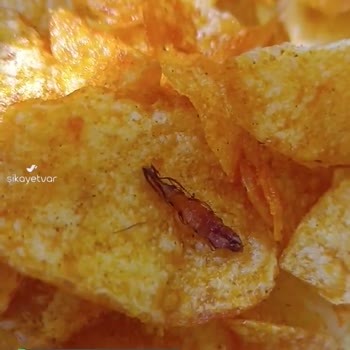 Lays Paketinde Böcek