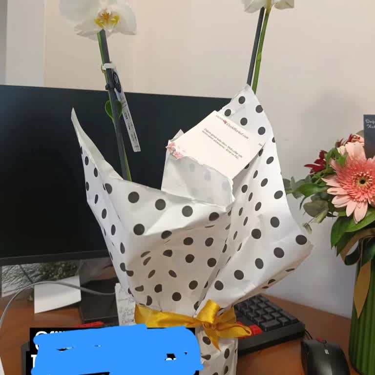 Yanlış Orkide Teslimatı Ve İlgisiz Müşteri Hizmetleri Mağduriyeti