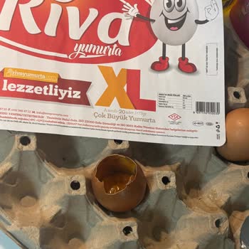 A101den Alınan Yumurtaların Bozuk Çıkması Ve Sağlığımızın Tehlikeye Girmesi