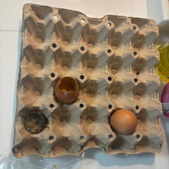 Riva Yumurta Aldığım Yumurtalar Küflü, Çürük Ve Eksik Çıktı; Mağduriyetimin Giderilmesini İstiyorum