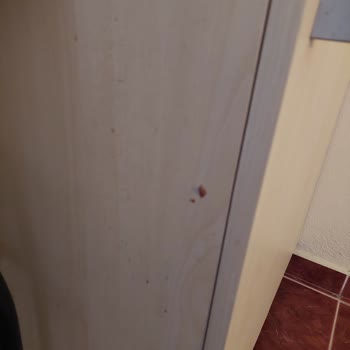 Satın Aldığım Oda Yerine Farklı Bir Oda Verildi Çözüm Sunulmuyor