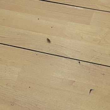 Otobüs Seferinde Gizlenen Rötar ve İlgisiz Hizmet Şikayeti