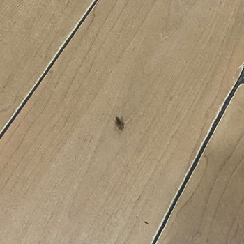 Otobüs Seferinde Gizlenen Rötar ve İlgisiz Hizmet Şikayeti