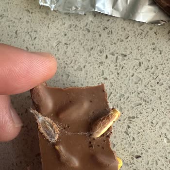 Satın Aldığım Çikolatanın İçinden Böcek Çıktı, Mağduriyetimin Giderilmesini Talep Ediyorum