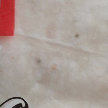 A101 Teslim Alınan Yufka Ürünü Kısa Sürede Küflendi, İade Talebim Reddedildi!