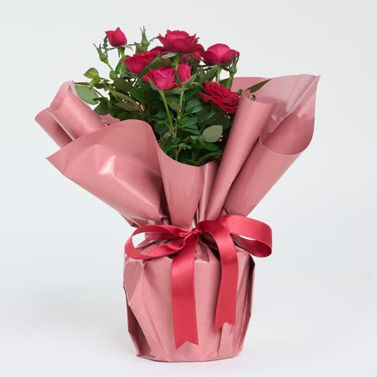 Onaylamadığım Çiçek Gönderildi, Teslim Edilmedi Ve Ücret İadesi Yapılmıyor