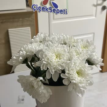 Siparişim Görselden Farklı Ve Hasarlı Geldi, Hızlı Çözüm İstiyorum