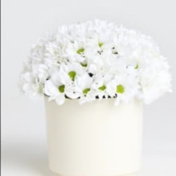 Siparişim Görselden Farklı Ve Hasarlı Geldi, Hızlı Çözüm İstiyorum