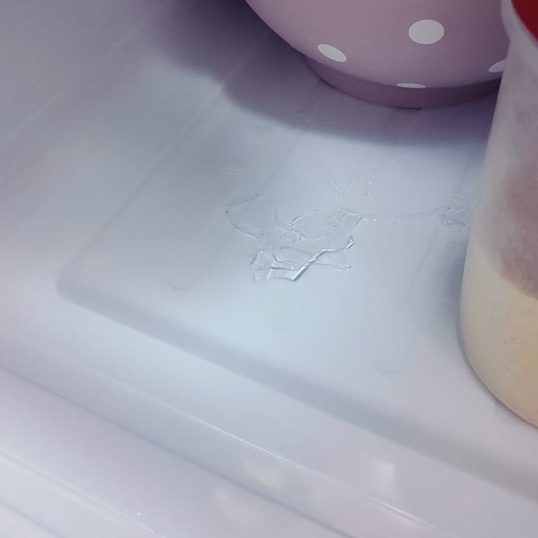 17-Year Refrigerator Issue Unresolved By Samsung Turkey