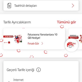 Her Şey Dahil Pasaport Tarifemde Haksız Yüksek Fatura Ve İade Talebim