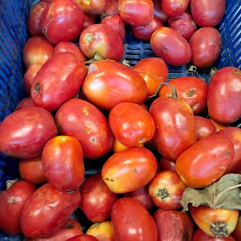 Happy Center Seyranşehir Şubesinde Sürekli Çürük Sebze Sorunu