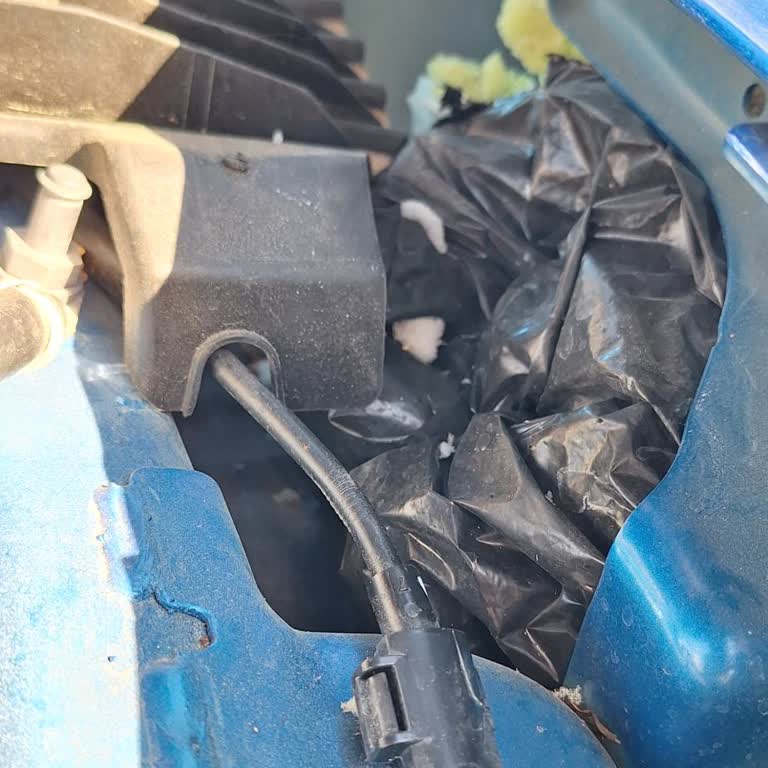 Aracımda Amatörce Ses Yalıtımı Ve Yetersiz Servis Açıklaması