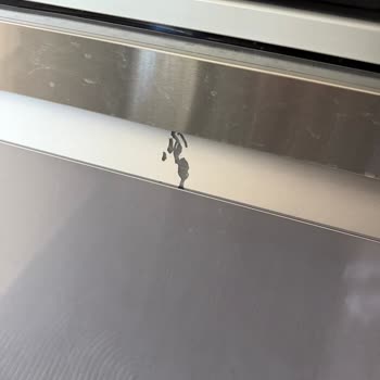 Garanti Kapsamındaki Bulaşık Makinesinde Kullanıcı Hatası Olmayan Soyulma İçin Ücret Talebi