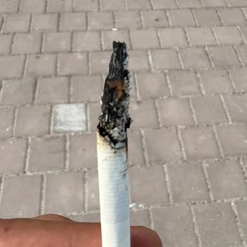 Sigara Paketinden Odun Parçası Çıktı, Açıklama Ve İade Talep Ediyorum