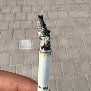 Sigara Paketinden Odun Parçası Çıktı, Açıklama Ve İade Talep Ediyorum