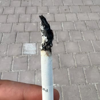 Sigara Paketinden Odun Parçası Çıktı, Açıklama Ve İade Talep Ediyorum