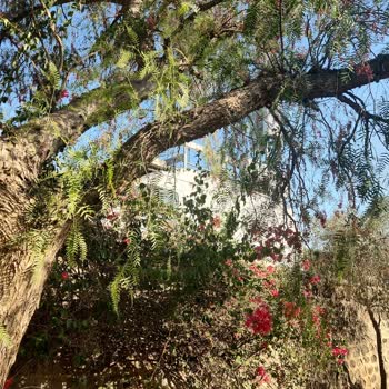 Evimin Önüne Park Eden Seyyar Baz İstasyonu Trafik Ve İletişim Sorunları Yaratıyor