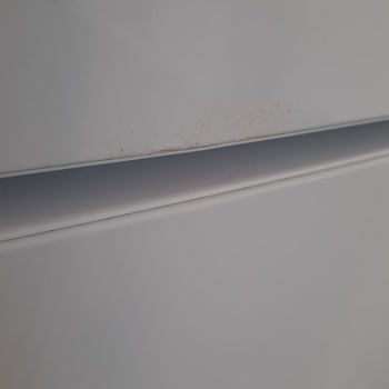 Bosch Garanti Süresi Biter Bitmez Yüksek Ücretli Tamir Mağduriyeti