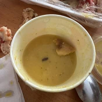 Yemekten Hamam Böceği Çıktı Restoran Sadece Haklısınız Dedi