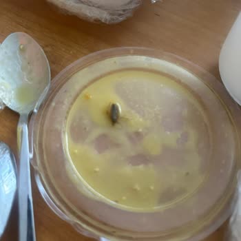 Yemekten Hamam Böceği Çıktı Restoran Sadece Haklısınız Dedi