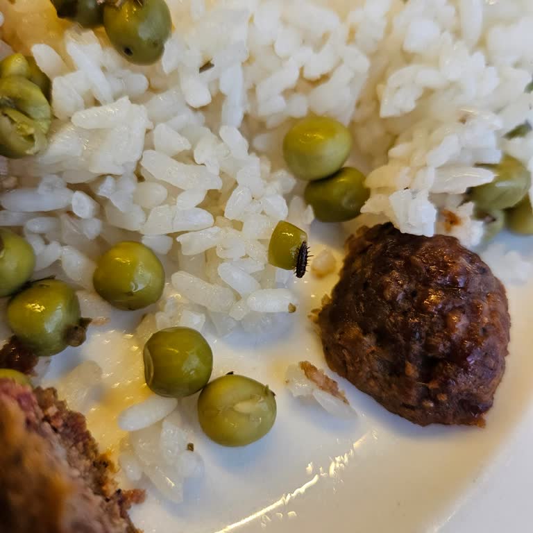 Otelin Temizlik Ve Hizmet Sorunları Tatilimizi Mahvetti