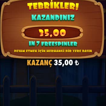 Betturkey'de Sürekli Kayıp Yaşamam ve Yetersiz Destek