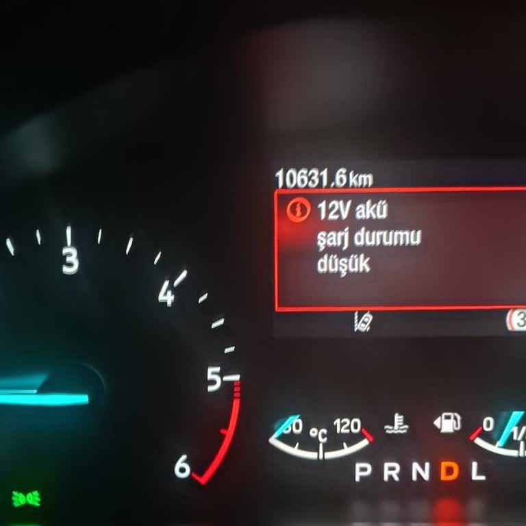 Ford Focus Aracımda Erken Yağ Değişimi Ve Partikül Filtresi Sorunu