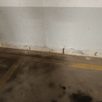 Halk Gyo Bizimtepe Aydos Sitesi'nde Süregelen Altyapı Sorunları Ve Güvenlik Endişesi