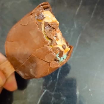 Küflü Dondurma Nedeniyle Aile Sağlığı Tehlikeye Girdi