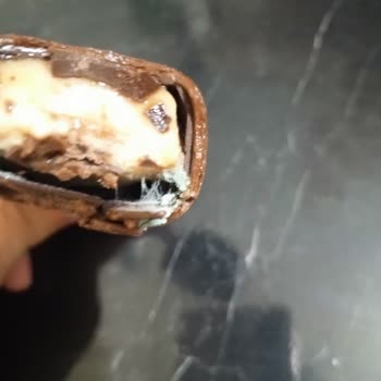 Küflü Dondurma Nedeniyle Aile Sağlığı Tehlikeye Girdi