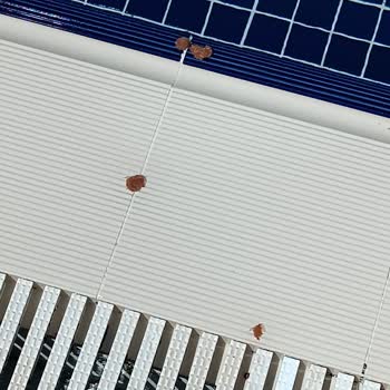 Küçük Ve Kirli Havuz, Bakımsız Plaj, İlgisiz Yönetimle Hayal Kırıklığı Yaşadık