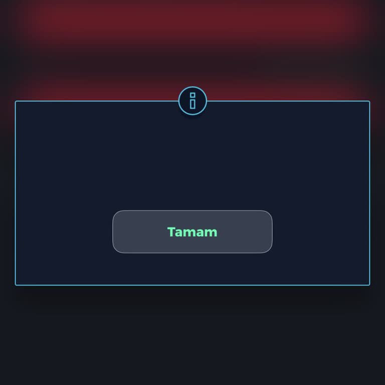Fiat Uygulamasında Hesap Onaylanmıyor Servis Kayıtlarına Erişemiyorum