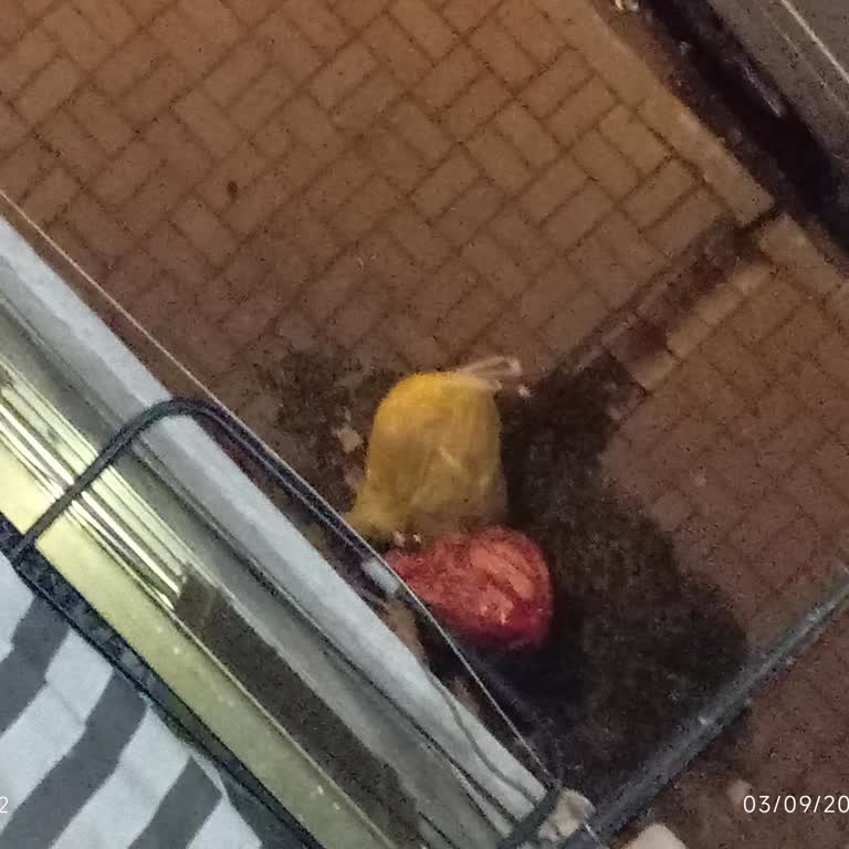 Bayrampaşa Belediyesi Temizlik Hizmetlerinden Şikayetçiyim