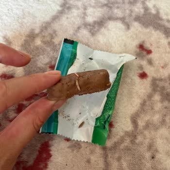 A101'den Alınan Çikolatanın İçinden Kurt Çıkması Ve Mağduriyet