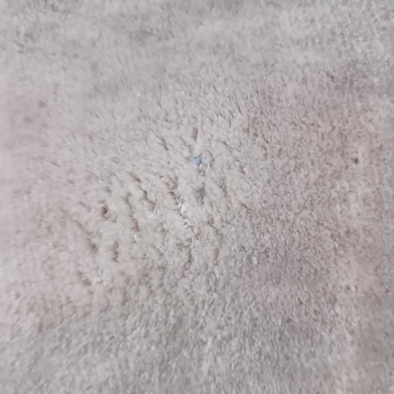 Kısa Sürede Dokuma Hatalı Halı Ve İlgisiz Mağaza