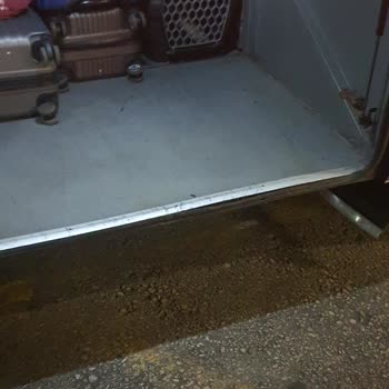 Otobüste Kötü Koku, Gürültü Ve Bagajda Hayvan Taşınması Mağduriyeti