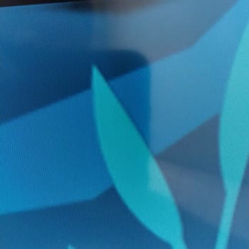 Samsung Televizyonda Garanti Sonrası Erken Ekran Arızası Ve Yetersiz Destek