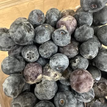 Bozulmuş Ve Küflü Yaban Mersini Satışı Nedeniyle Para İadesi Talebi