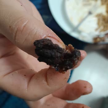 Bozuk Ve Sağlıksız Ürünler Nedeniyle Mağduriyet Ve Yetersiz Çözüm